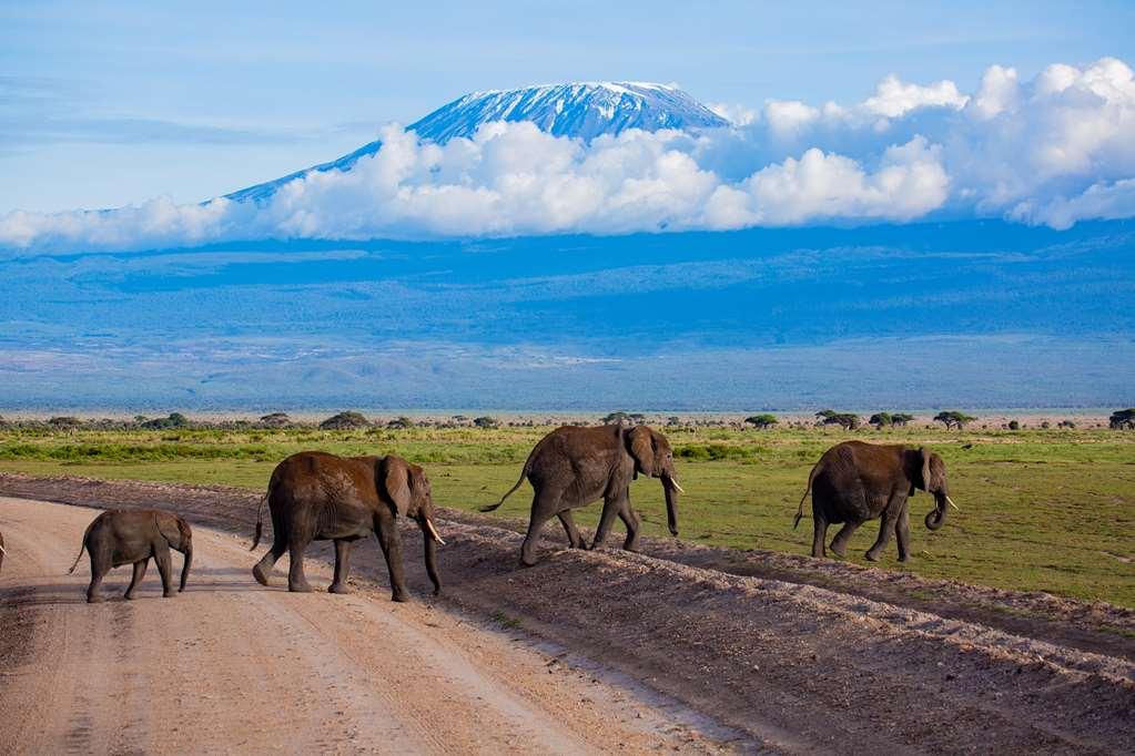 Amboseli Serena Safari Lodge Tiện nghi bức ảnh