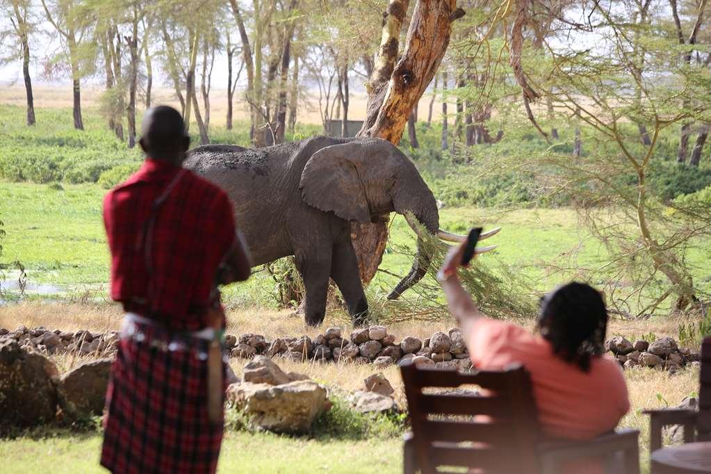 Amboseli Serena Safari Lodge Tiện nghi bức ảnh