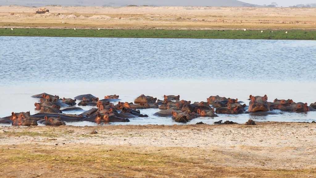 Amboseli Serena Safari Lodge Tiện nghi bức ảnh